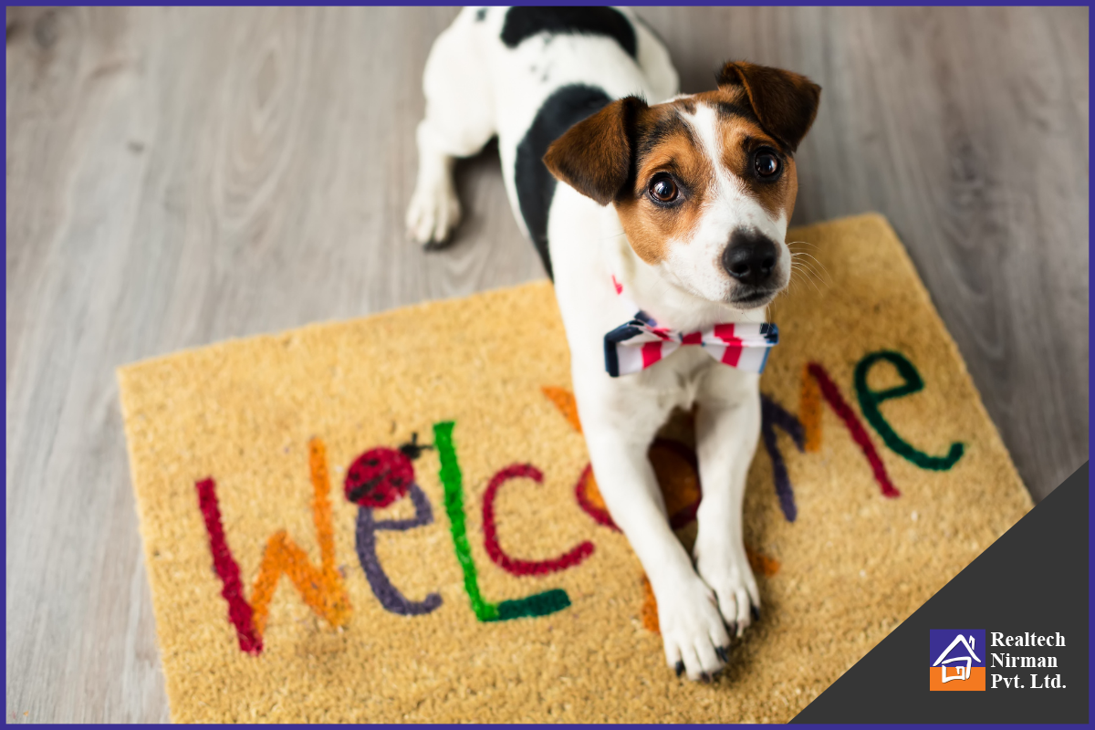 Is Your New Home Pet-Friendly?