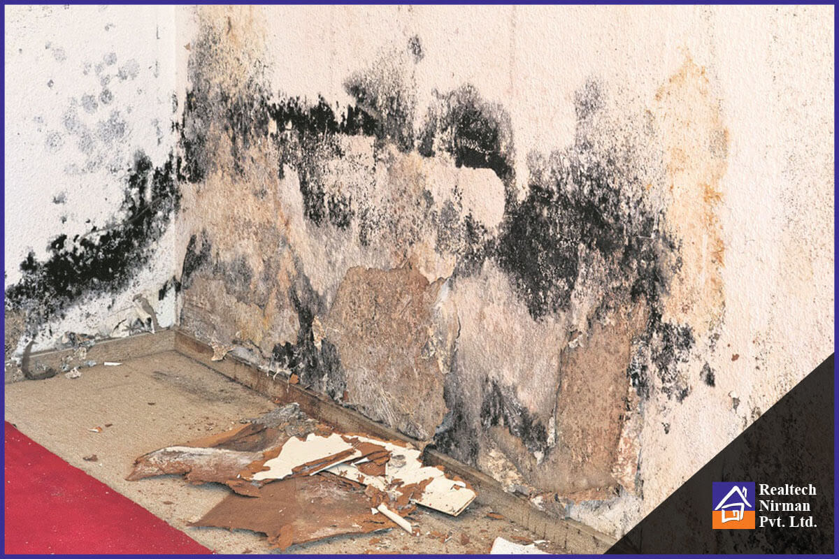 The Smart Checklist For Perfect Damp Prevention In Rajarhat Flats