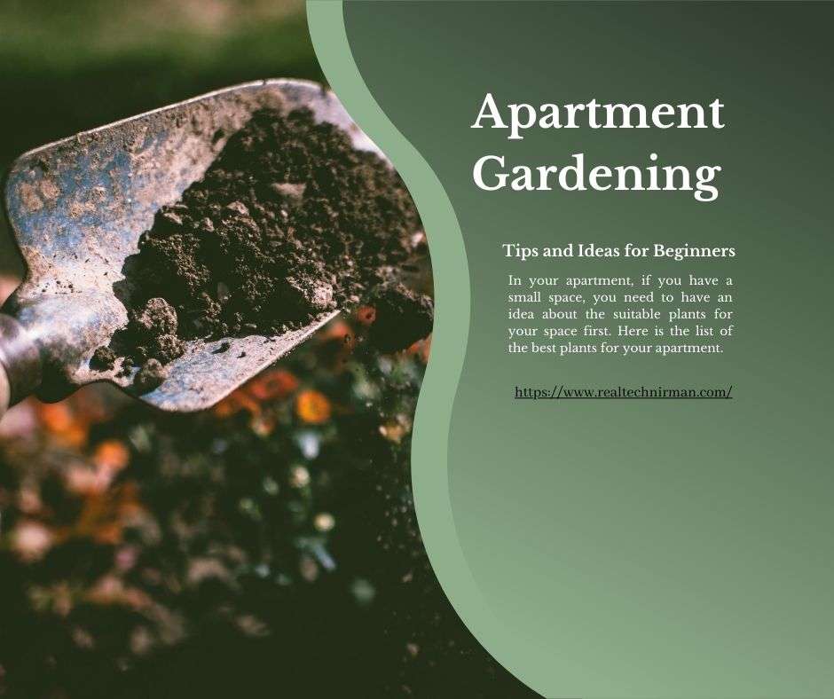 Apartment Gardening – Tips and Ideas for Beginners